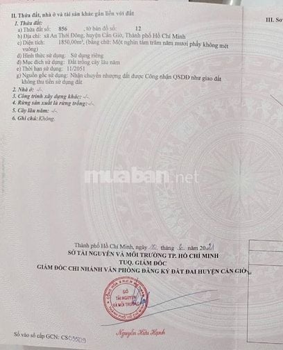 Bán đất 2 mặt tiền đường ôtô thuộc xã An Thới Đông Huyện Cần Giờ TPHCM