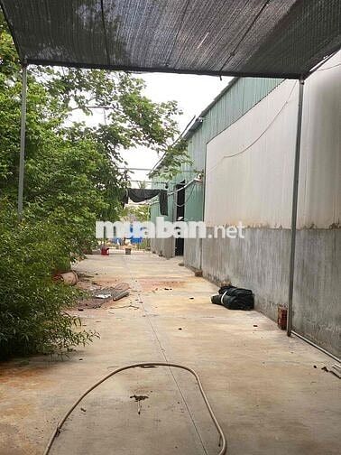cho thuê kho xưởng khuôn viên 1500m2 giá rẻ 25 tr