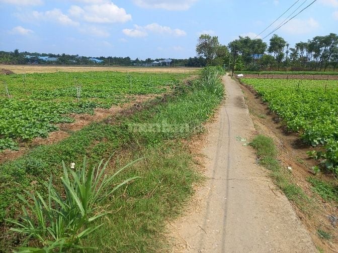 Đất làm vườn gần trung tâm TP Gò Công 