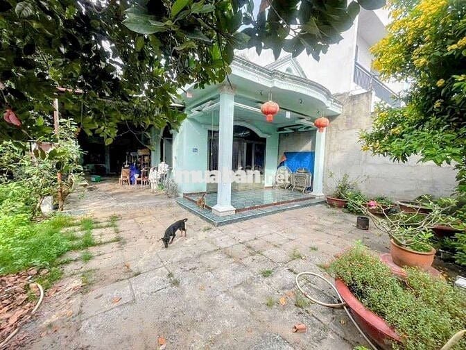 Nhà cấp 4 SHR 1/Tân Hiệp 8-Hóc Môn.Dt 9,7x30,7~297m2~6,7ty