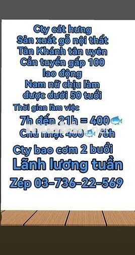 Cty gỗ cát hưng cần tuyển