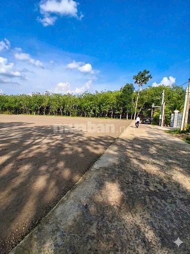HOT HOT – ĐẤT KCN ĐỒNG NƠ – GIÁ RẺ ĐẦU TƯ 