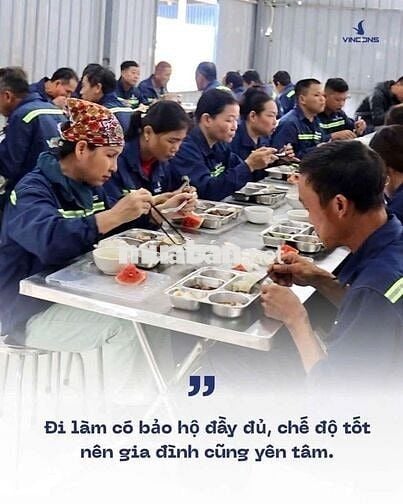 TUYỂN CÔNG NHÂN BAO ĂN Ở, KO YÊU CẦU KINH NGHIỆM 