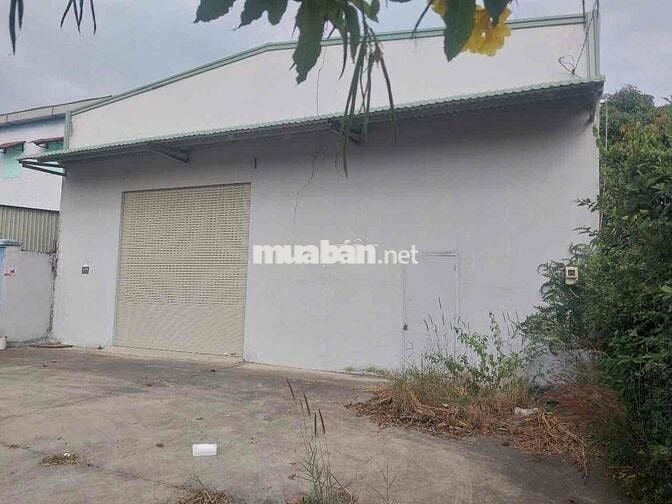 KHO 550M2 MTKD SẦM UẤT ĐƯỜNG NGUYỄN THỊ RÀNH