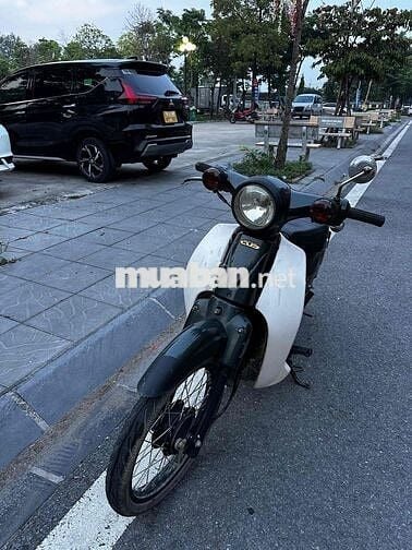 Honda Cub Halim Trắng, Xanh đậm
