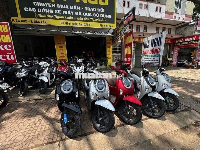 Honda Scoopy 2026 mới 100%