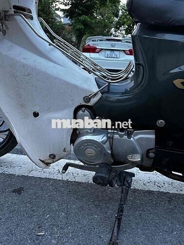 Honda Cub Halim Trắng, Xanh đậm