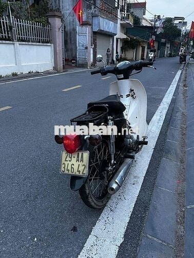 Honda Cub Halim Trắng, Xanh đậm