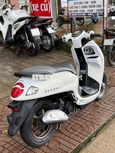 Honda Scoopy 2026 mới 100%