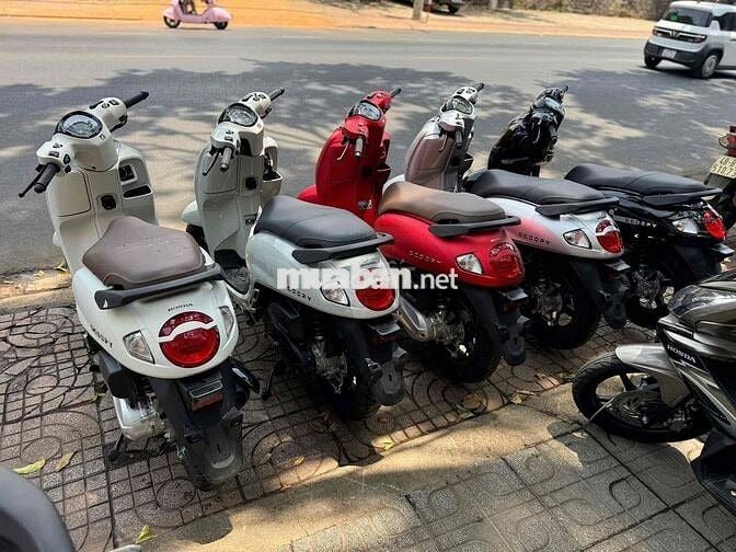Honda Scoopy 2026 mới 100%