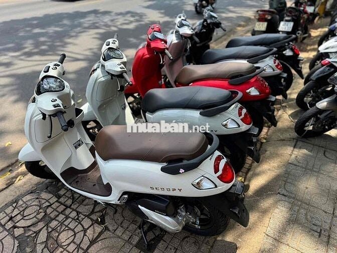 Honda Scoopy 2026 mới 100%