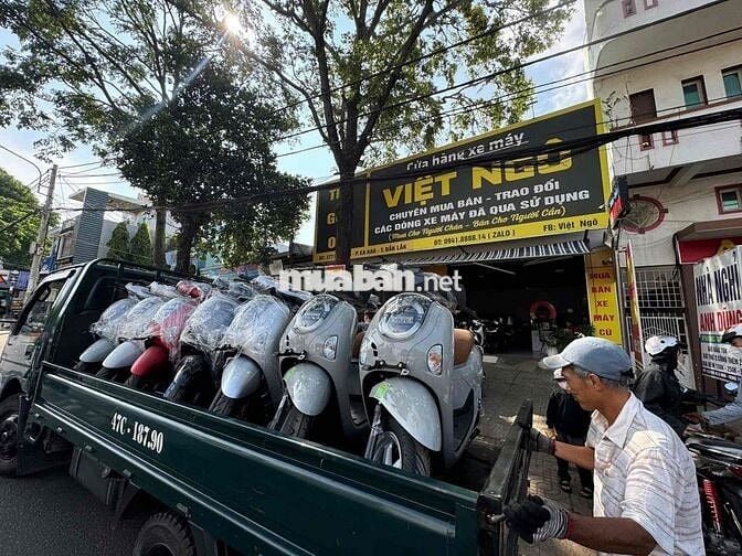 Honda Scoopy 2026 mới 100%