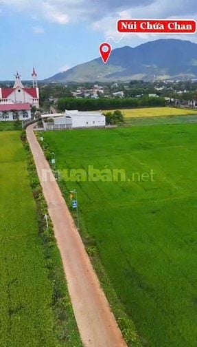 chỉ 450 triệu. Siêu phẩm 12x52m có 100m2 thổ cư đã rào