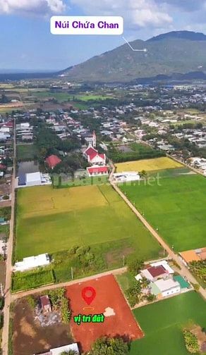 chỉ 450 triệu. Siêu phẩm 12x52m có 100m2 thổ cư đã rào