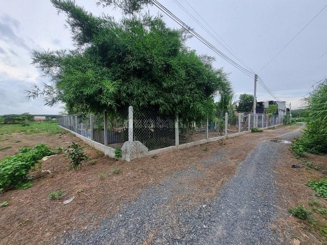 5x61 có thổ cư. Đường xe hơi. Gần KCN Hiệp Thạnh. 450tr 