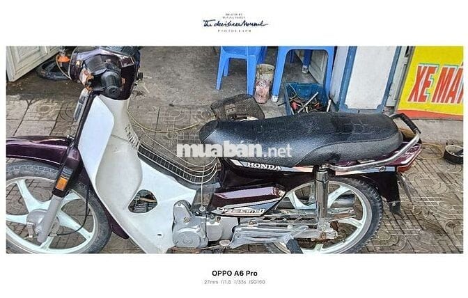 Honda Dream Tím trắng