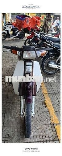 Honda Dream Tím trắng