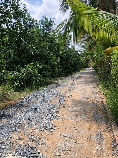 Bán Đất vườn, Long Hưng, Đồng Tháp. 17,56m x 26,80m = 474m, Đường Ôtô