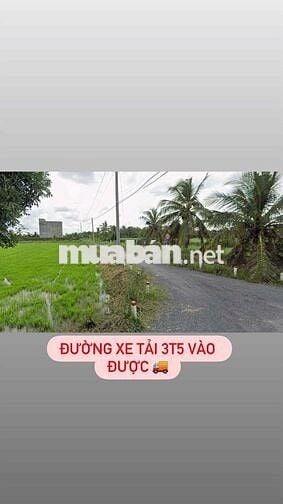 🌿 BÁN 3.000m² (DÀI: 100M x RỘNG 30M) ĐẤT NÔNG NGHIỆP – XÃ THANH NHỰT