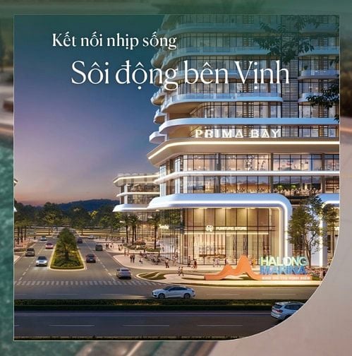 ✨ Chỉ từ 1,5tỷ sở hữu căn hộ 5 sao Prima Bay Hạ Long ✨Chiết khấu cực 