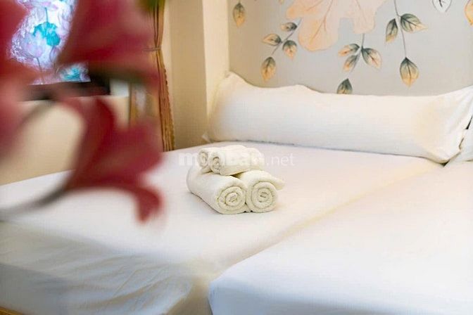 Bán CHDV,AirBNB Calmette Q1 HXH mới đẹp thu nhập 80tr/tháng chỉ 13,5t.