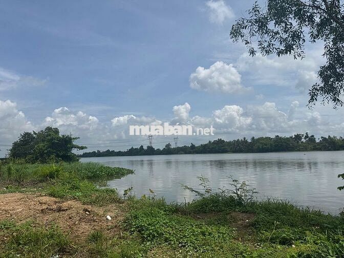 🔥 ĐẤT VƯỜN 1.466m² CỦ CHI – CÁCH SÔNG 200M – Ô TÔ VÀO TẬN ĐẤT 