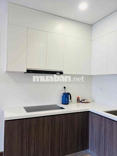 Cho thuê căn hộ 2 phòng ngủ, nội thất cao cấp tại FPT Plaza3