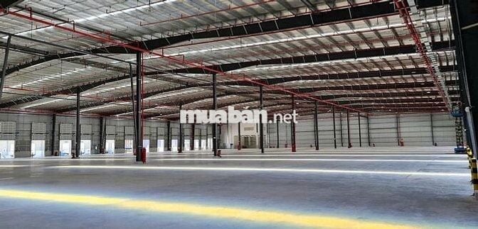 CHO THUÊ KHO XƯỞNG TRONG KCN PHÚ AN THẠNH 4500M2-3USD/M2