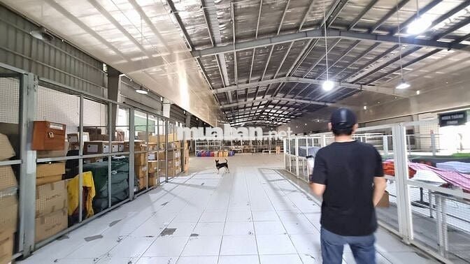 CHO THUÊ XƯỞNG KCN THỊNH PHÁT 2.400M2-80K/M2