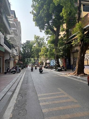 Bán Nhà Phân Lô Phố Trần Đại Nghĩa dt 105m2 Mt 8,5m Đg hè oto 38,88ty 