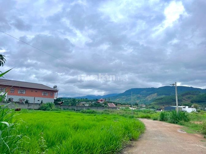 ĐẤT VEN ĐÀ LẠT NỞ HẬU – KHÔNG GIAN YÊN TĨNH PHÙ HỢP LÀM NHÀ VƯỜN NGHỈ 