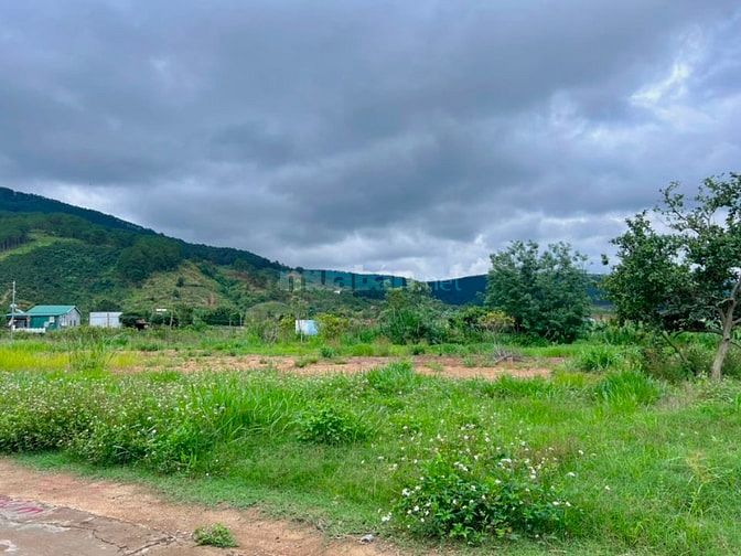ĐẤT VEN ĐÀ LẠT NỞ HẬU – KHÔNG GIAN YÊN TĨNH PHÙ HỢP LÀM NHÀ VƯỜN NGHỈ 