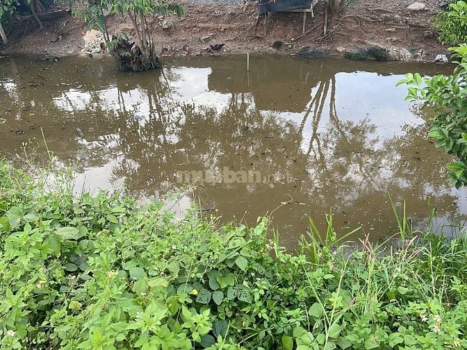 Bán 2 lô đất liền kề 540m/1lô giaá 2,6 tỷ ngay trung tâm xã Đông Thạnh