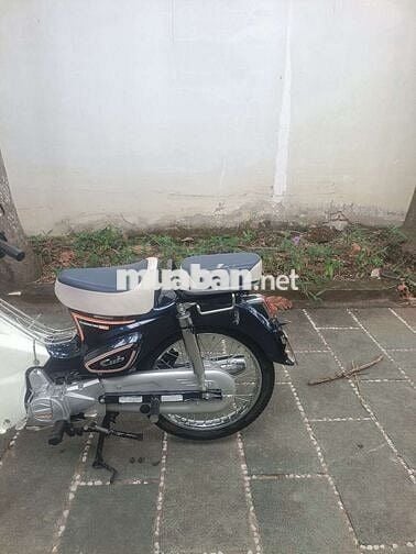 Honda Cub 50 2025 Xanh trắng