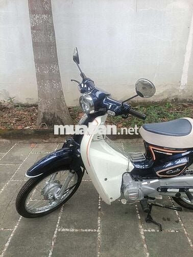 Honda Cub 50 2025 Xanh trắng