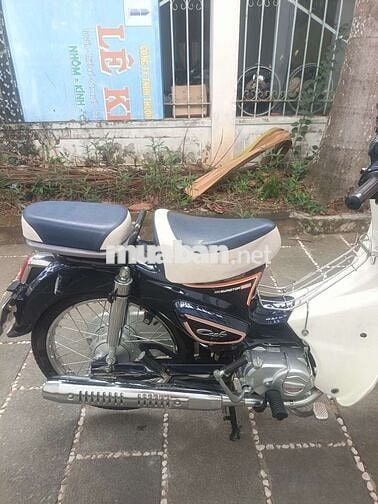 Honda Cub 50 2025 Xanh trắng