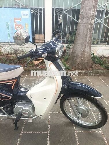 Honda Cub 50 2025 Xanh trắng