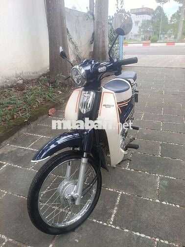 Honda Cub 50 2025 Xanh trắng
