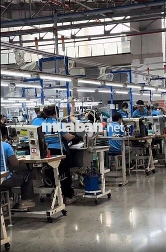 🔥CTY GIÀY - ĐƯỢC ỨNG LƯNG - HỖ TRỢ TRỌ🔥