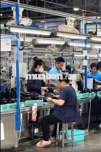 🔥CTY GIÀY - ĐƯỢC ỨNG LƯNG - HỖ TRỢ TRỌ🔥