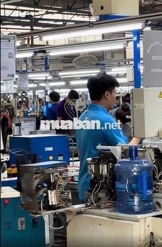 🔥CTY GIÀY - ĐƯỢC ỨNG LƯNG - HỖ TRỢ TRỌ🔥