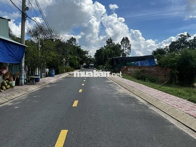 Chính chủ bán đất mặt tiền đường Tân Hiệp 31