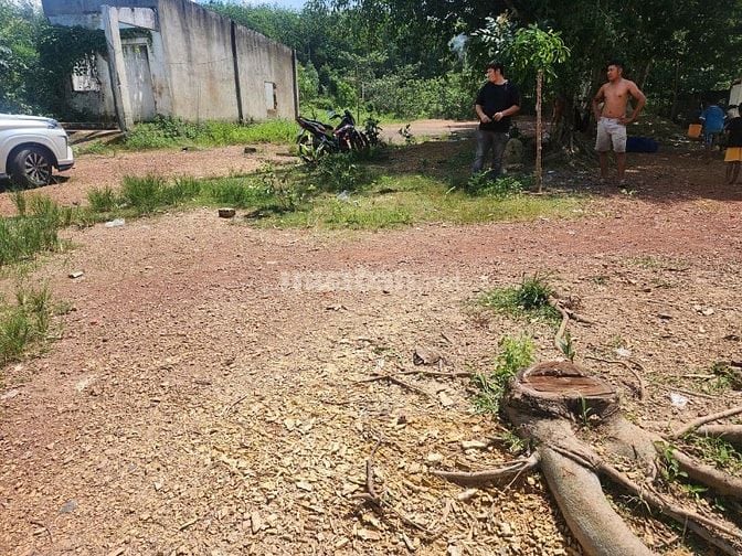 Công ty Đấu giá hợp danh Lam Sơn Sài Gòn THÔNG BÁO ĐẤU GIÁ TÀI SẢN