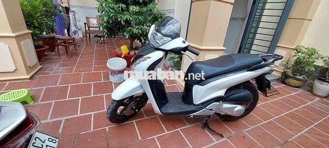 Honda SH màu Trắng