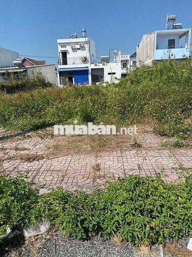 Cần bán đất full thổ khu hoàng hảo rẻ nhất kv
