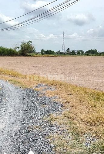 Bán thửa đất 1.700m2 Có 200m2 thổ cư gần Dự án Vinhomes Hậu Nghĩa