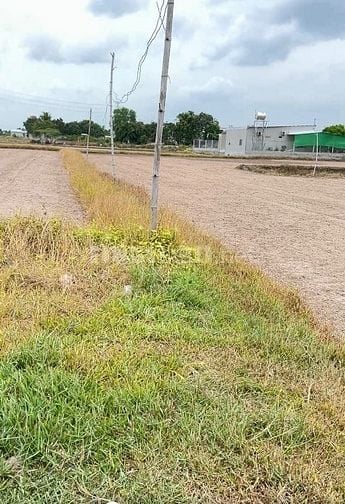 Bán thửa đất 1.700m2 Có 200m2 thổ cư gần Dự án Vinhomes Hậu Nghĩa