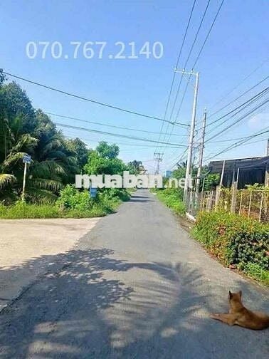 CHỦ KẸT TIỀN CẦN BÁN GẤP NHÀ VƯỜN