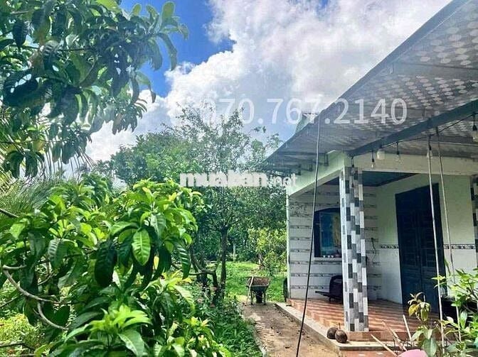 CHỦ KẸT TIỀN CẦN BÁN GẤP NHÀ VƯỜN