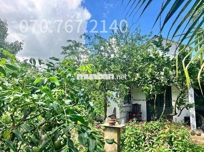 CHỦ KẸT TIỀN CẦN BÁN GẤP NHÀ VƯỜN